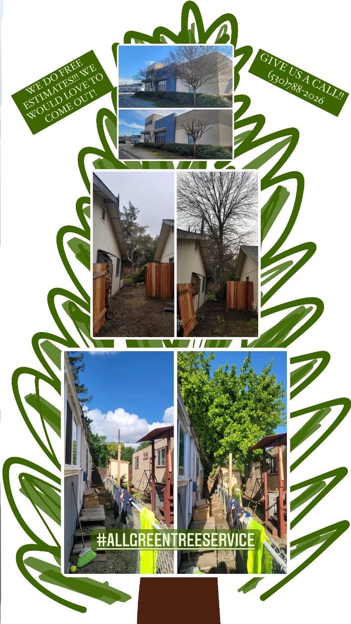 All Green Tree Service Image