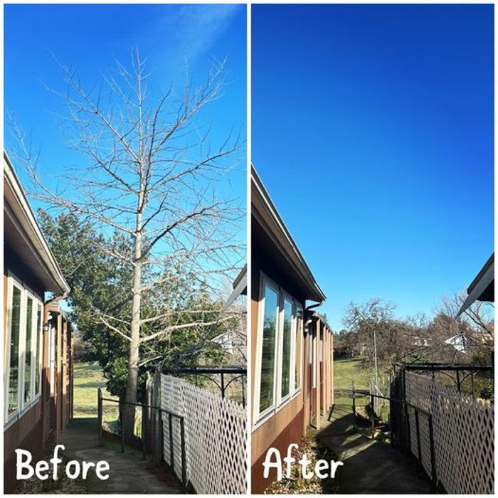 All Green Tree Service Image