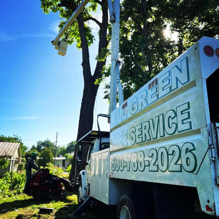 All Green Tree Service Image