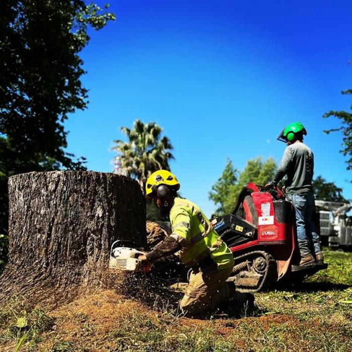 All Green Tree Service Image