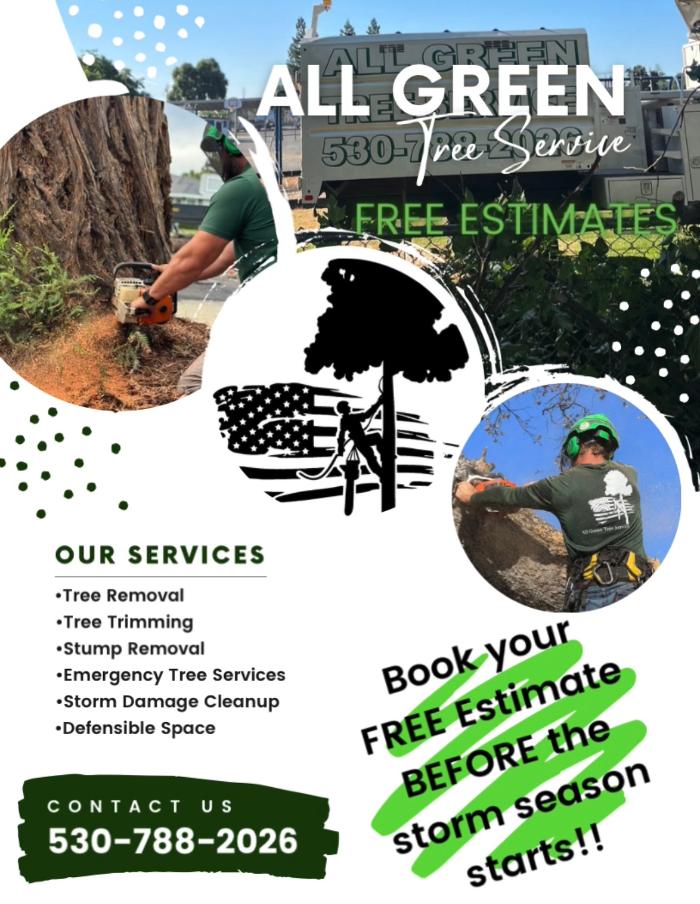 All Green Tree Service Image