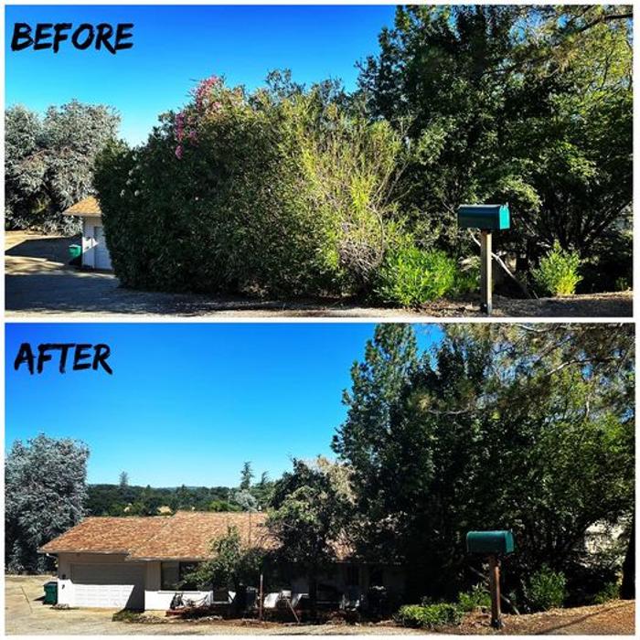 All Green Tree Service Image