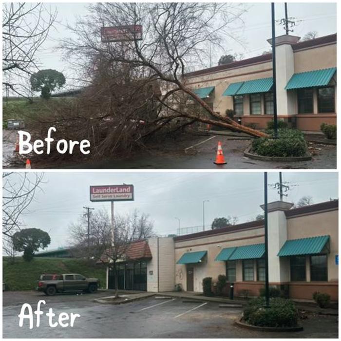 All Green Tree Service Image