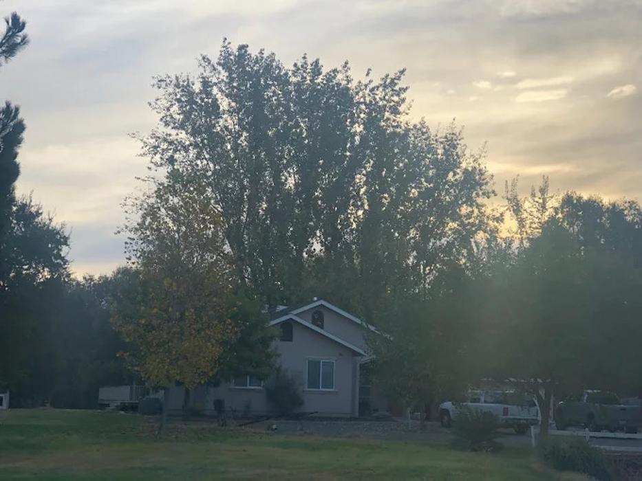 All Green Tree Service Image