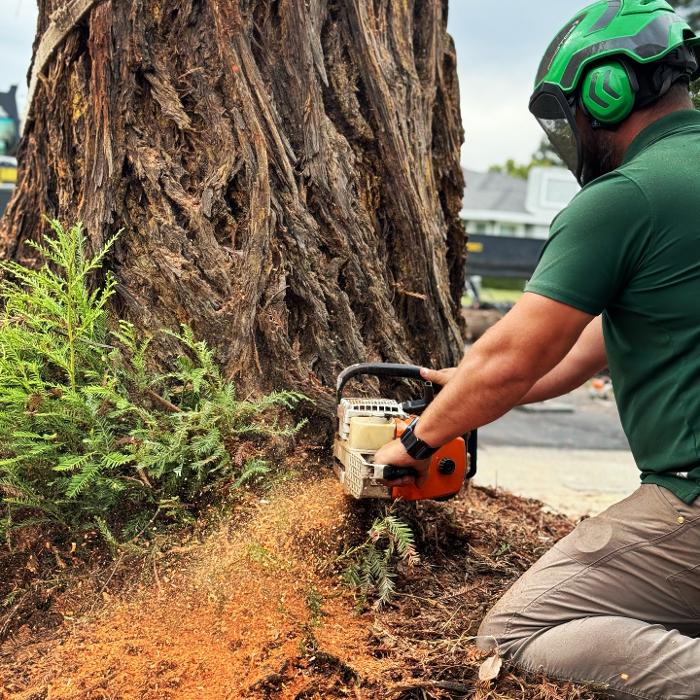 All Green Tree Service Image