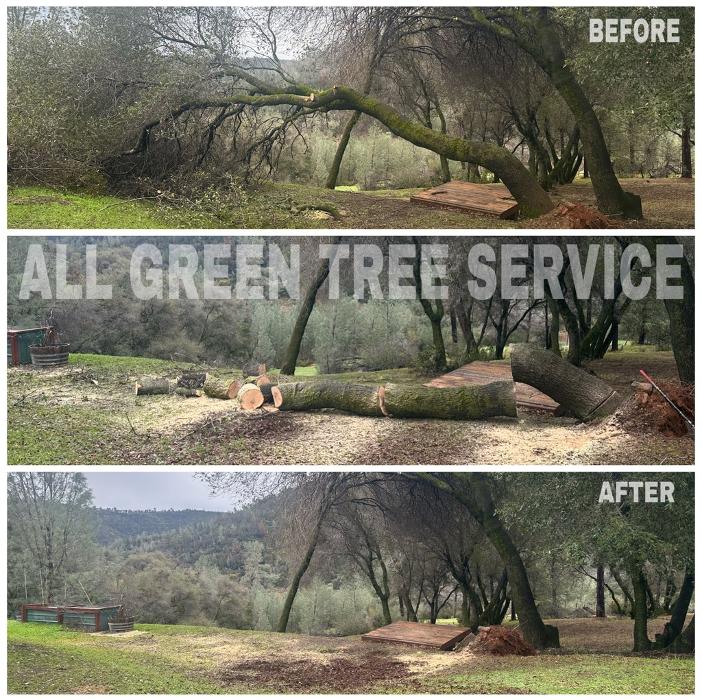 All Green Tree Service Image