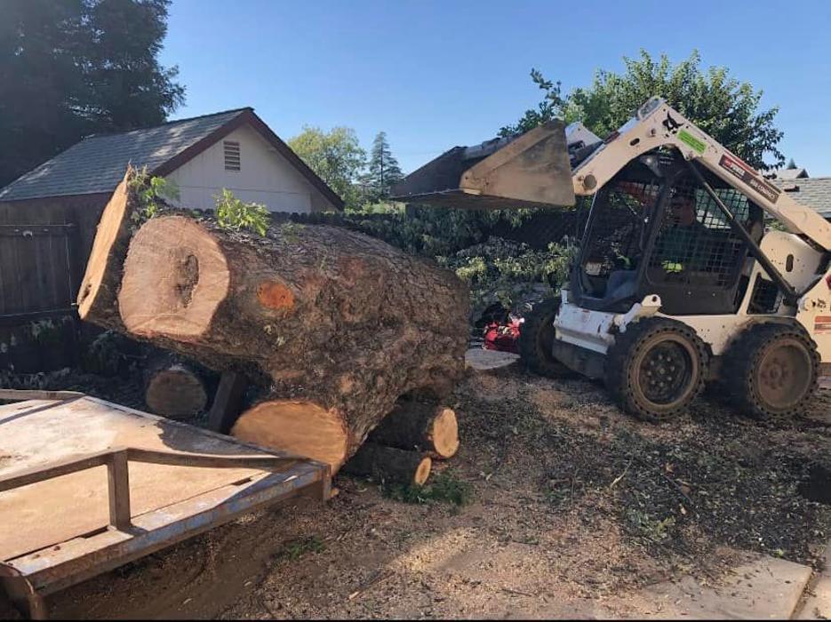 All Green Tree Service Image