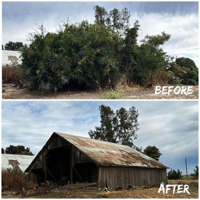 All Green Tree Service Image