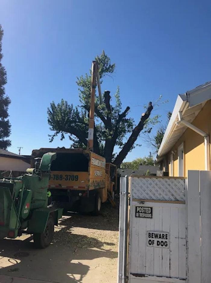 All Green Tree Service Image