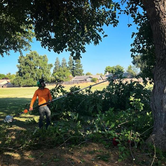 All Green Tree Service Image