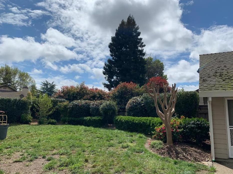 All Green Tree Service Image