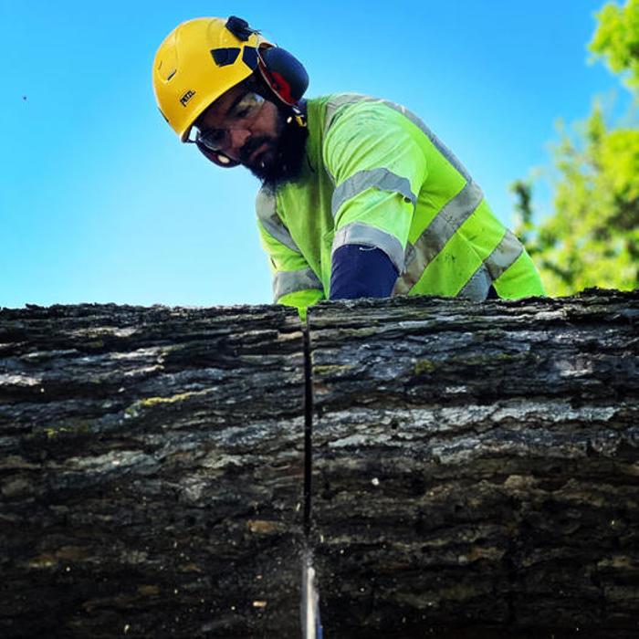 All Green Tree Service Image