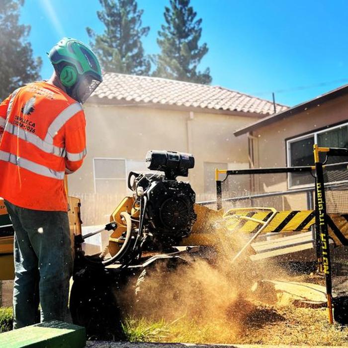 All Green Tree Service Image