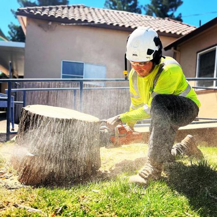 All Green Tree Service Image