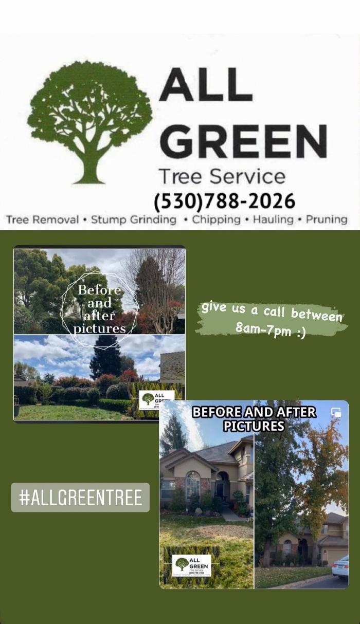 All Green Tree Service Image