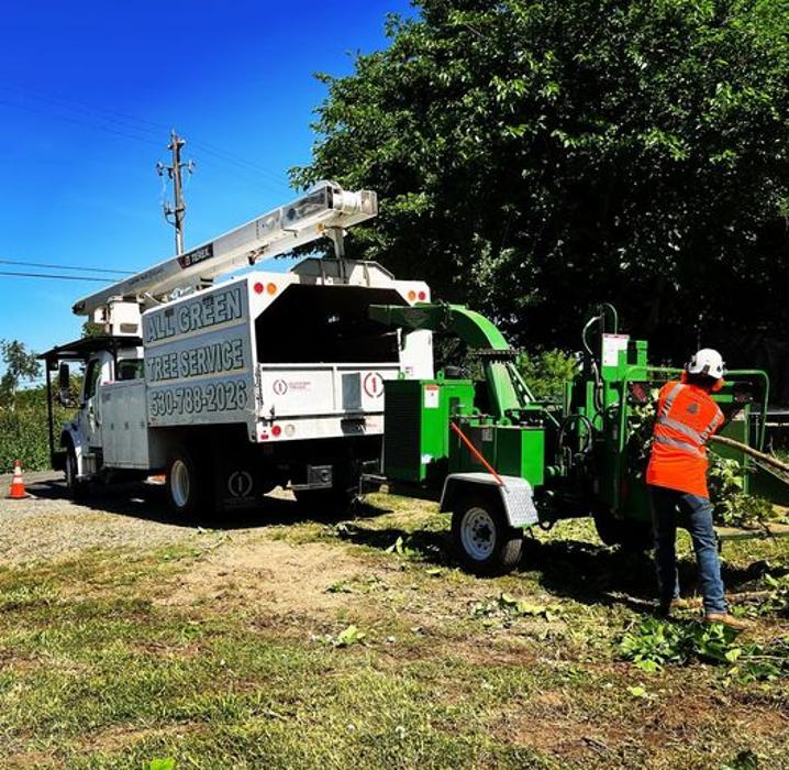 All Green Tree Service Image