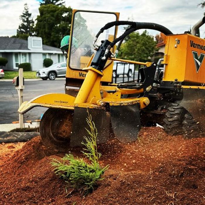 All Green Tree Service Logo