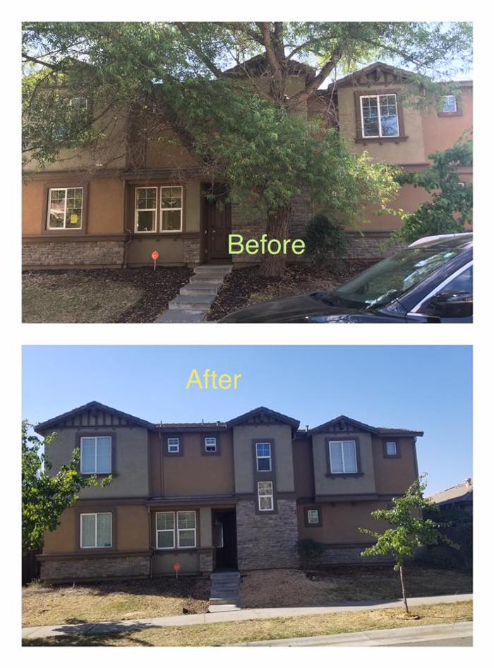 All Green Tree Service Image