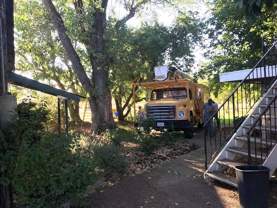 All Green Tree Service Image