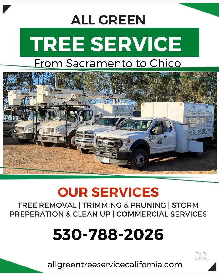 All Green Tree Service Image
