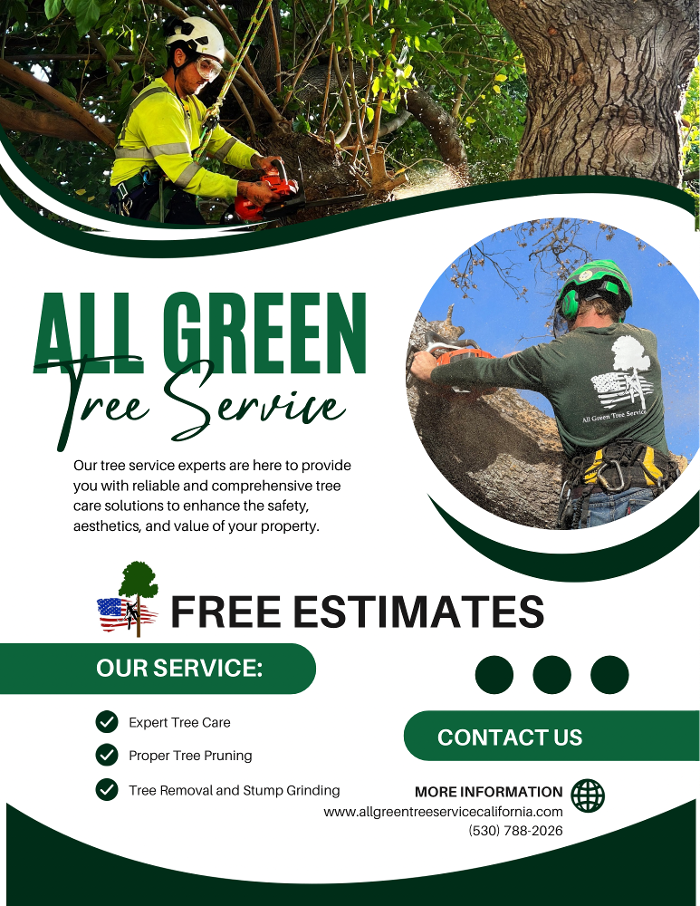 All Green Tree Service Image