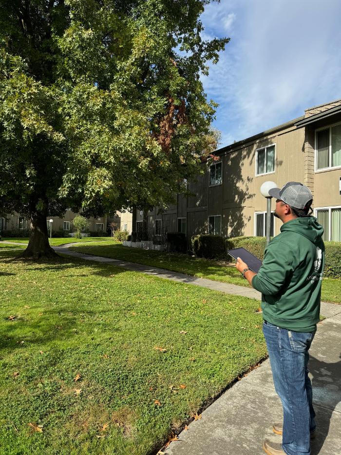 All Green Tree Service Image