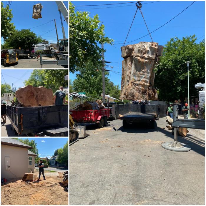 All Green Tree Service Image