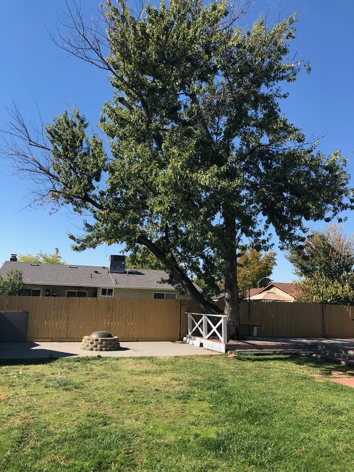 All Green Tree Service Image