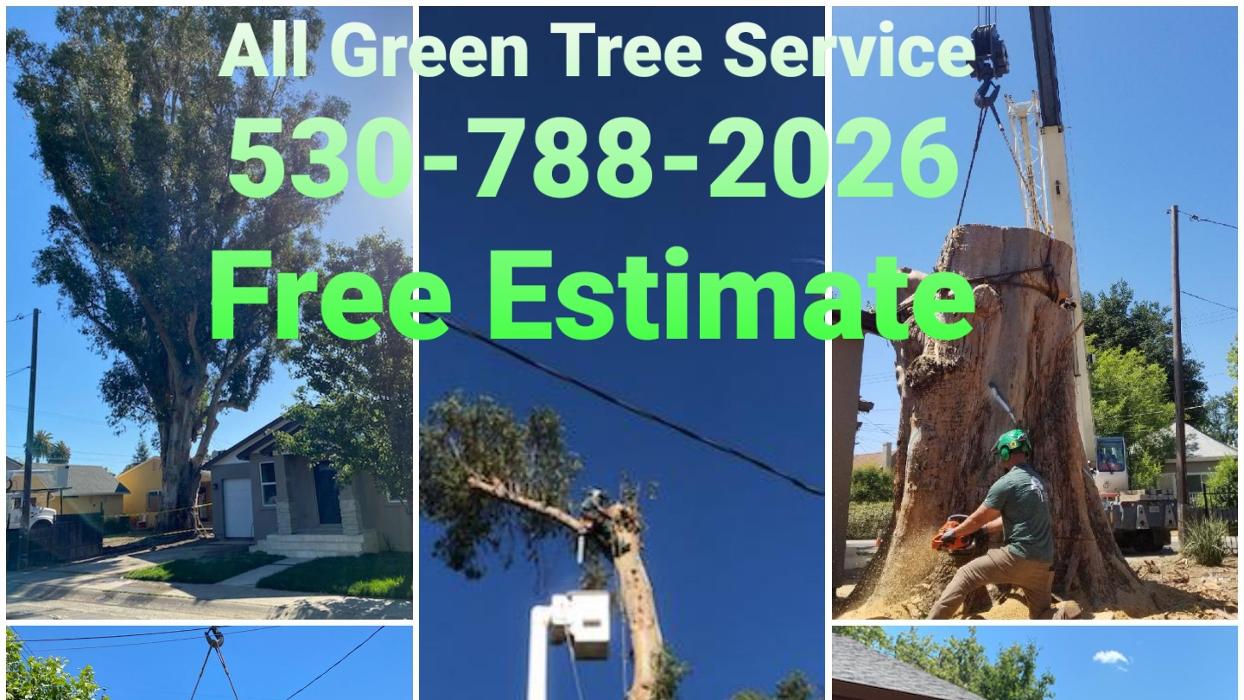 All Green Tree Service Image
