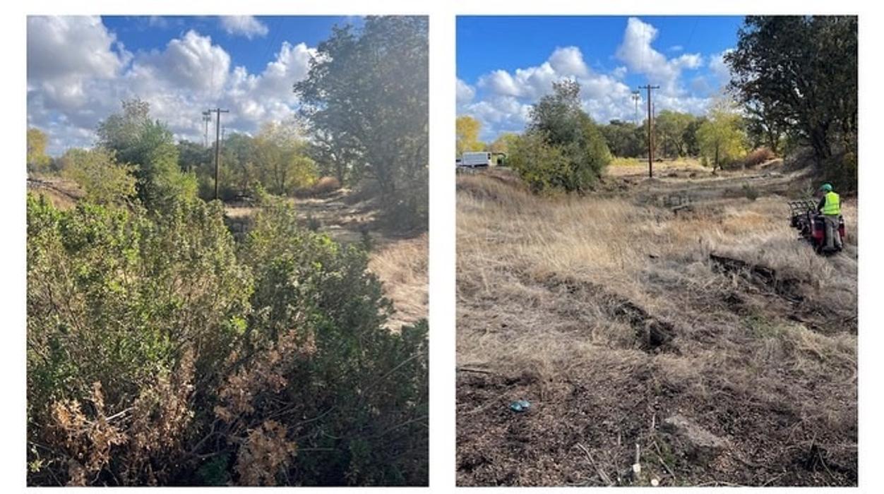 All Green Tree Service Image