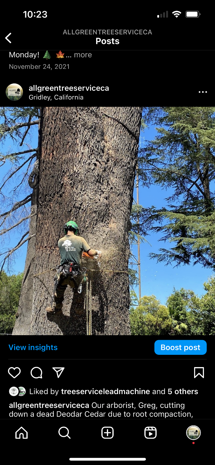 All Green Tree Service Image