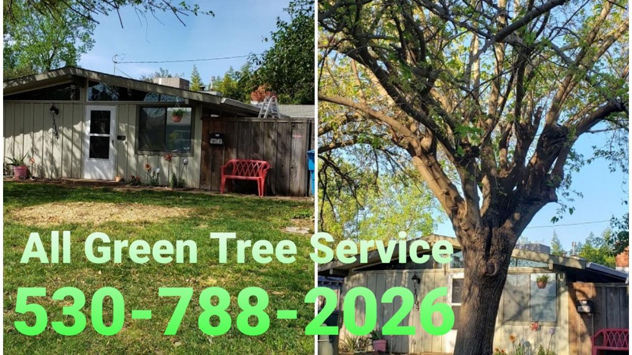 All Green Tree Service Image