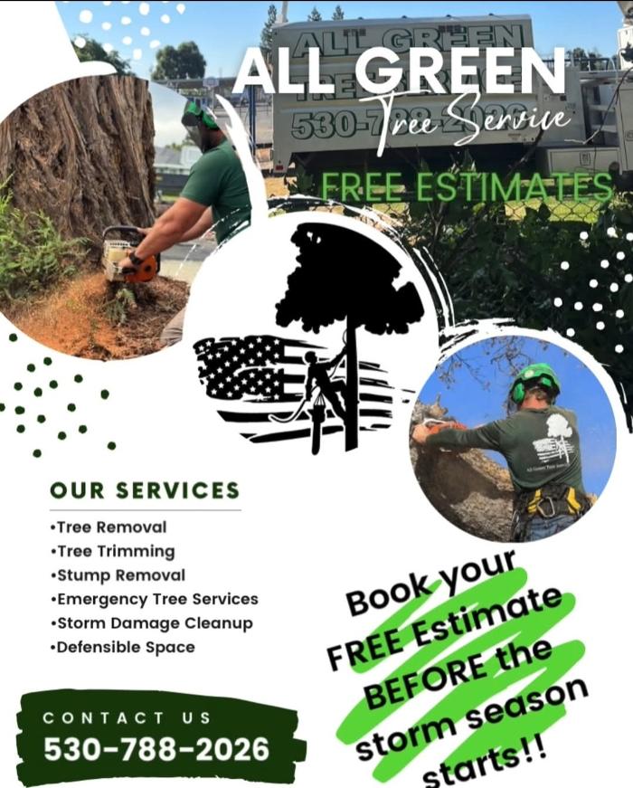All Green Tree Service Image