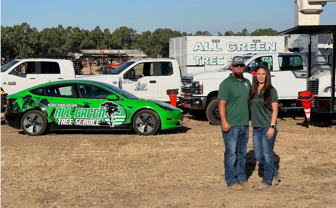 All Green Tree Service Image