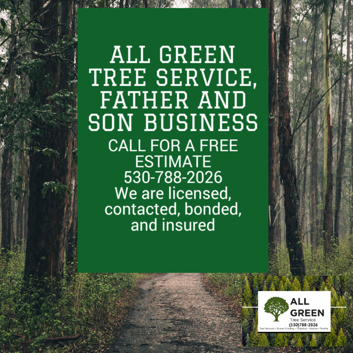 All Green Tree Service Image