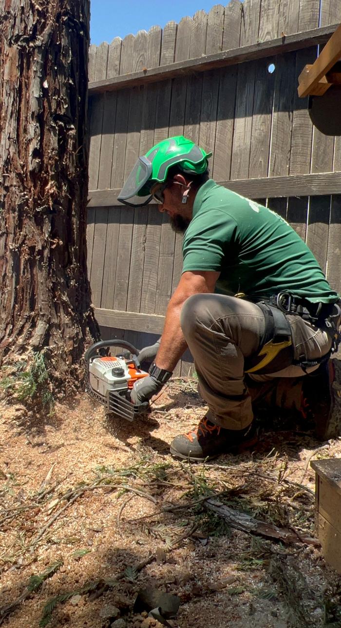 All Green Tree Service Image