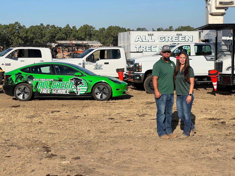 All Green Tree Service Image