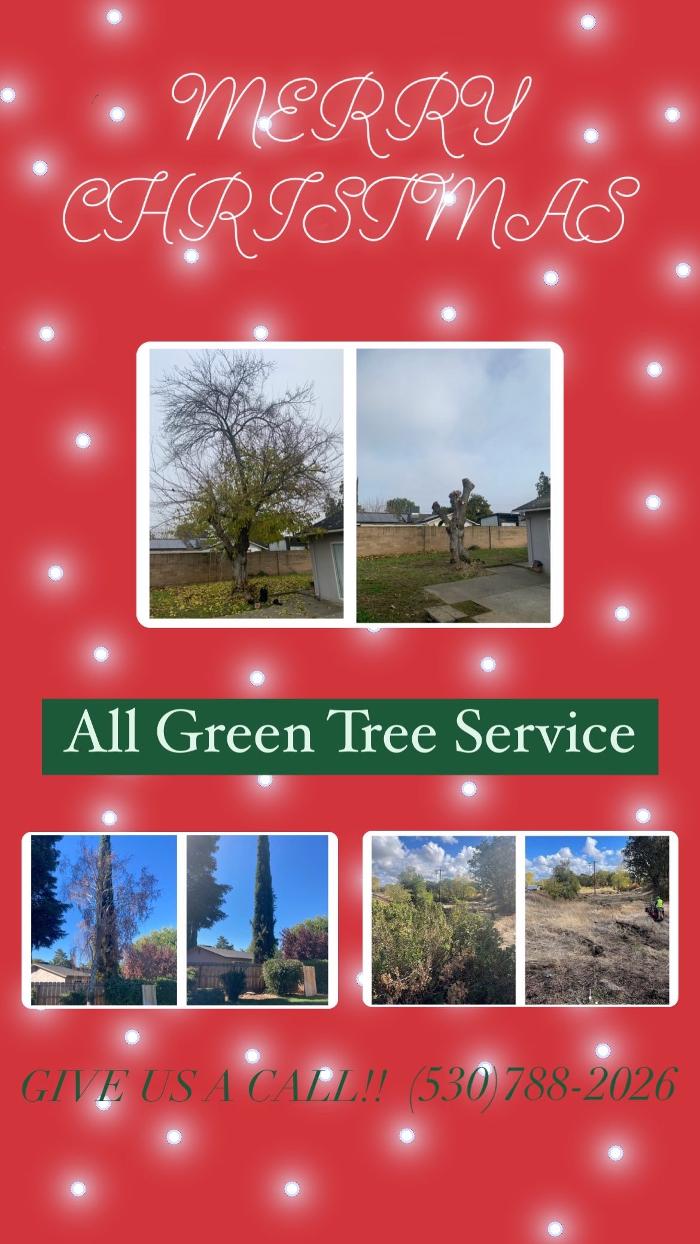 All Green Tree Service Image