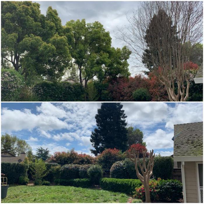 All Green Tree Service Image