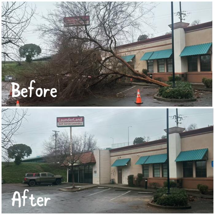 All Green Tree Service Image