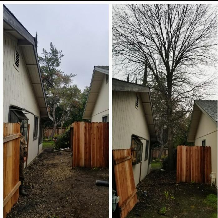 All Green Tree Service Image