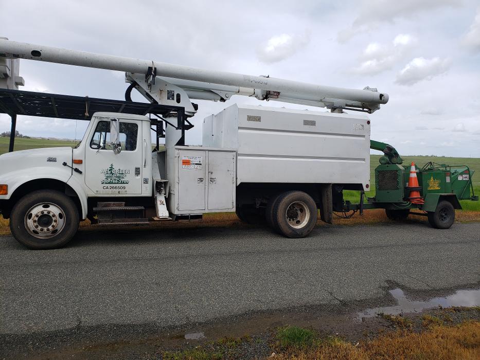 All Green Tree Service Image