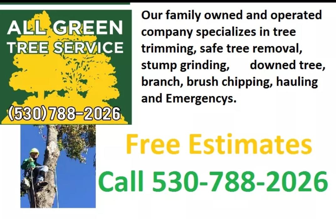 All Green Tree Service Image