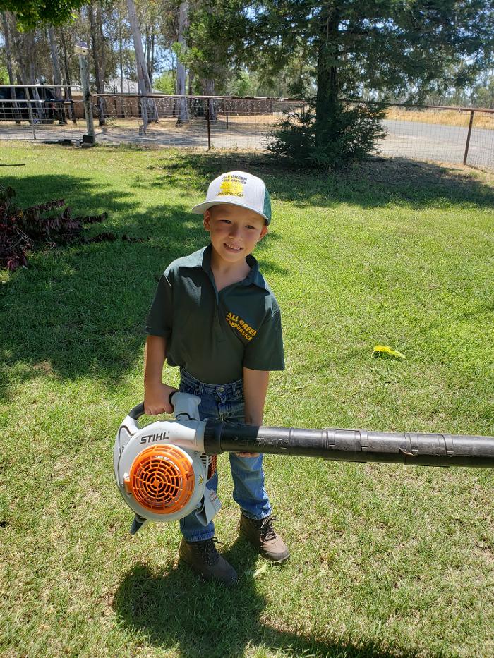 All Green Tree Service Image