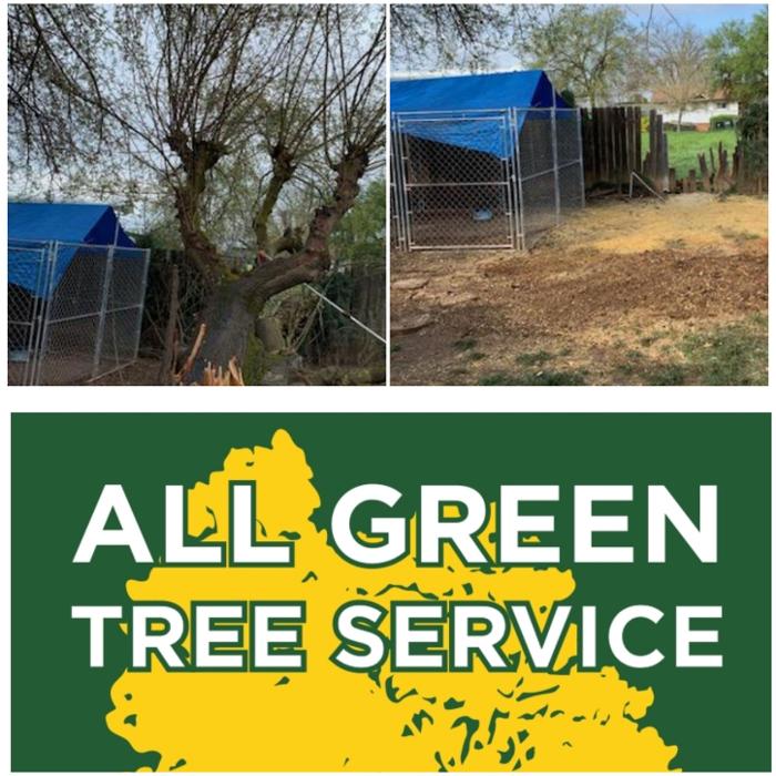 All Green Tree Service Image