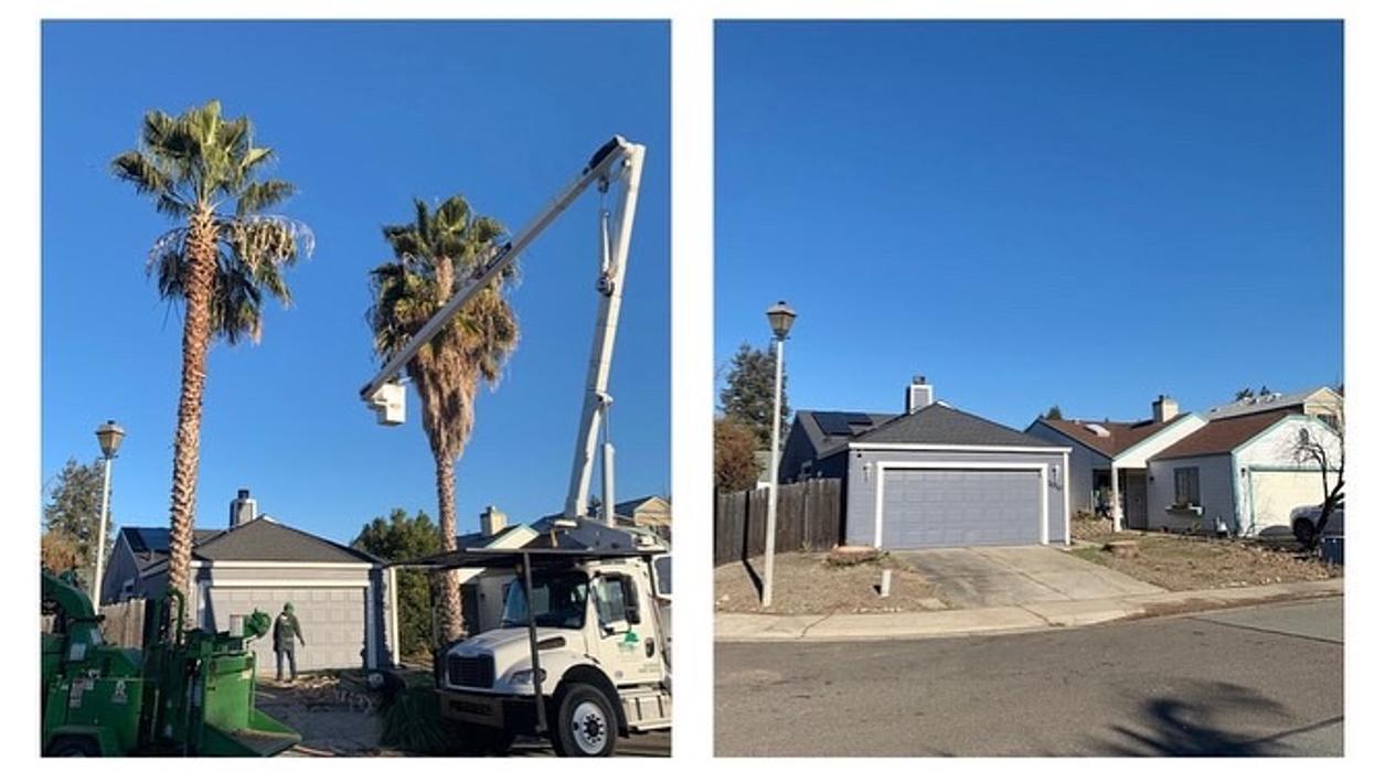 All Green Tree Service Image