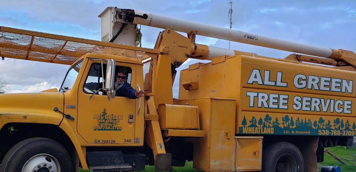 All Green Tree Service Image