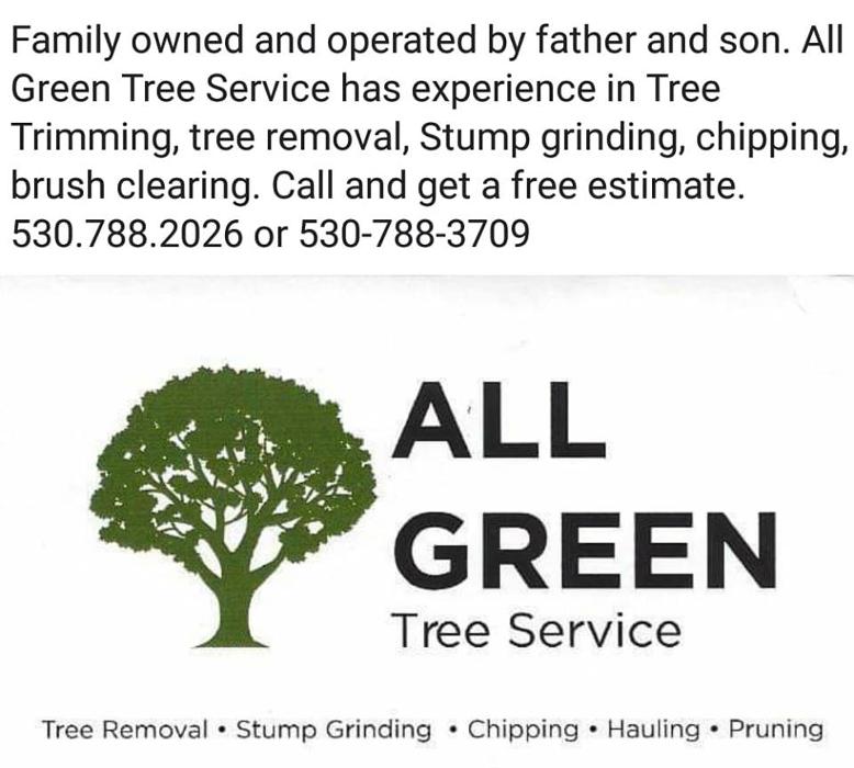 All Green Tree Service Image