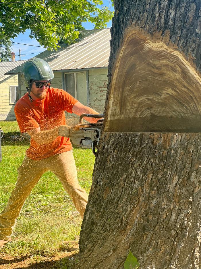 All Green Tree Service Image