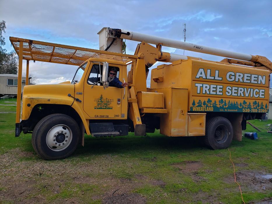 All Green Tree Service Image